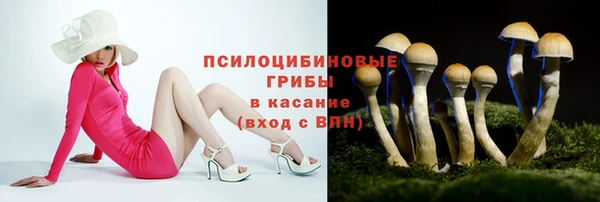 первитин Арсеньев