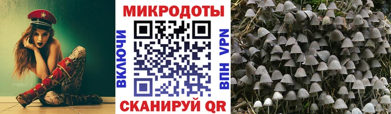 Галлюциногенные грибы Magic Shrooms  где можно купить наркотик  Порхов 